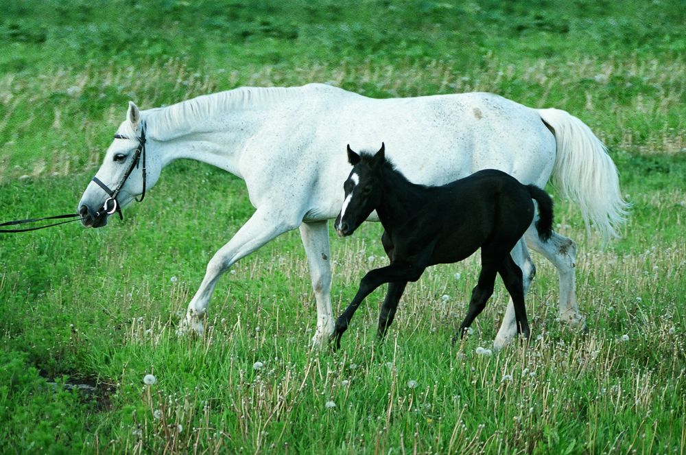 Photograph by Ольга Заповедная