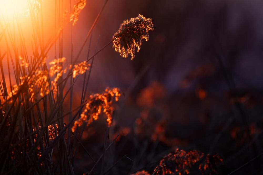 Photograph by Александр Белов