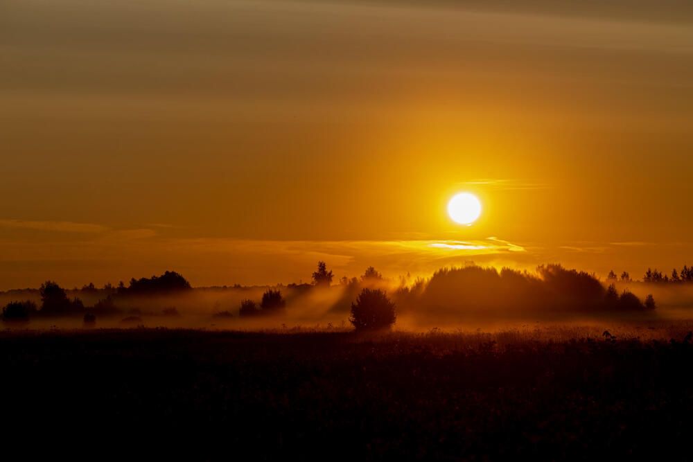 Photograph by Александр Белов