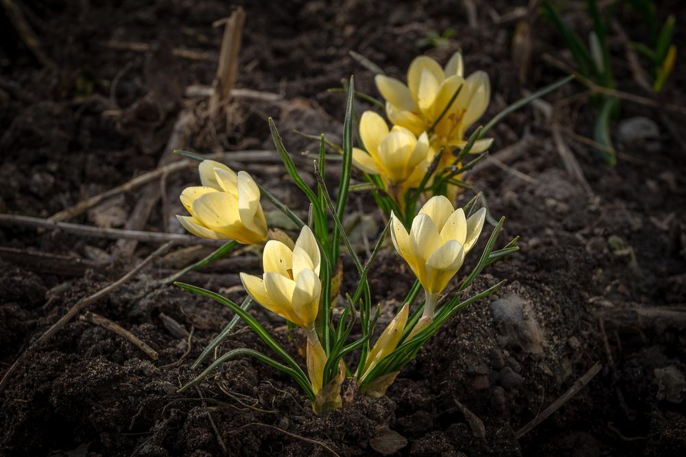 Photograph by Олег Филипенко