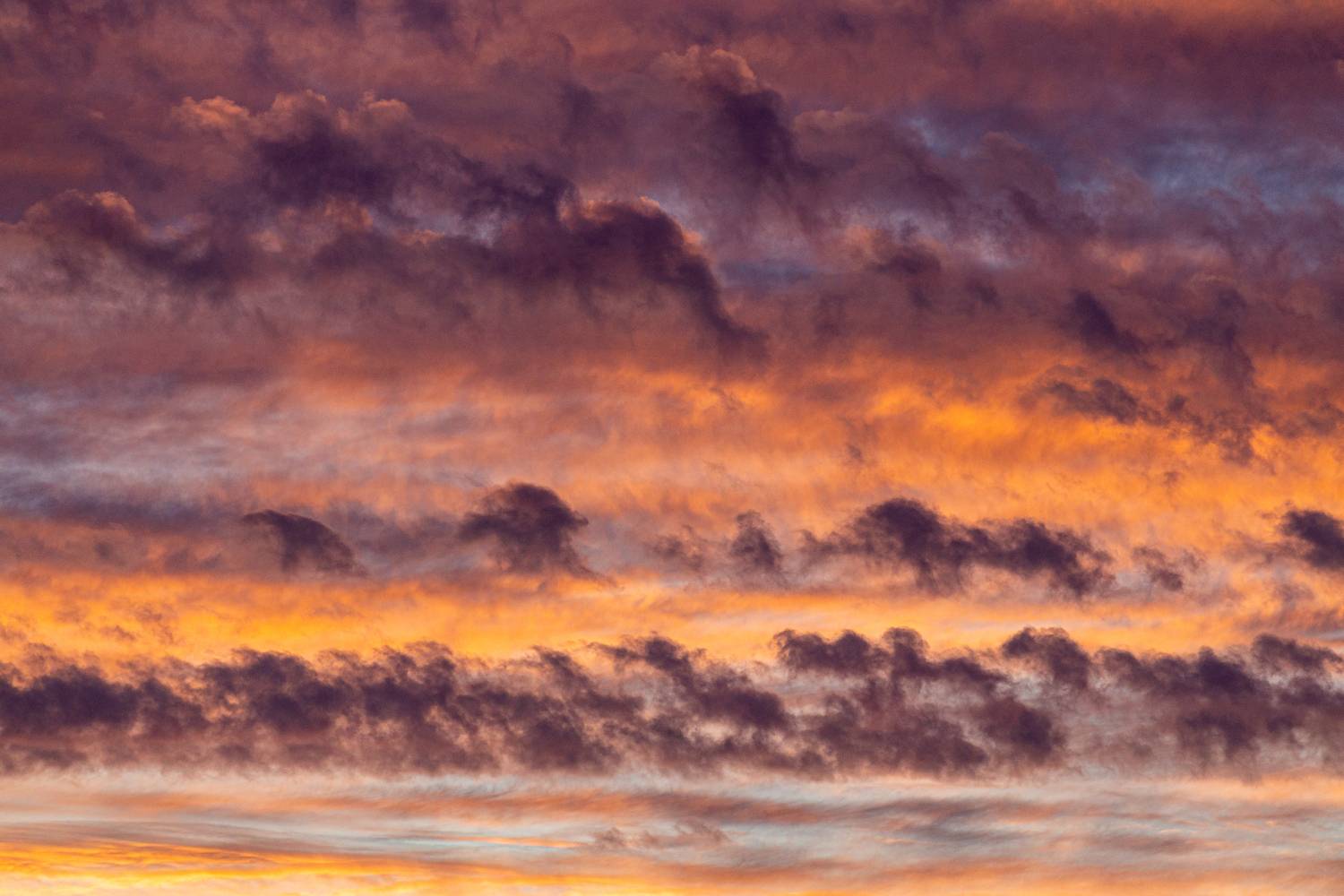 Photo #13492634