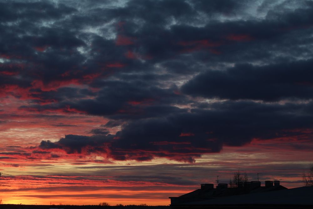 Photograph by Вальшина Алина