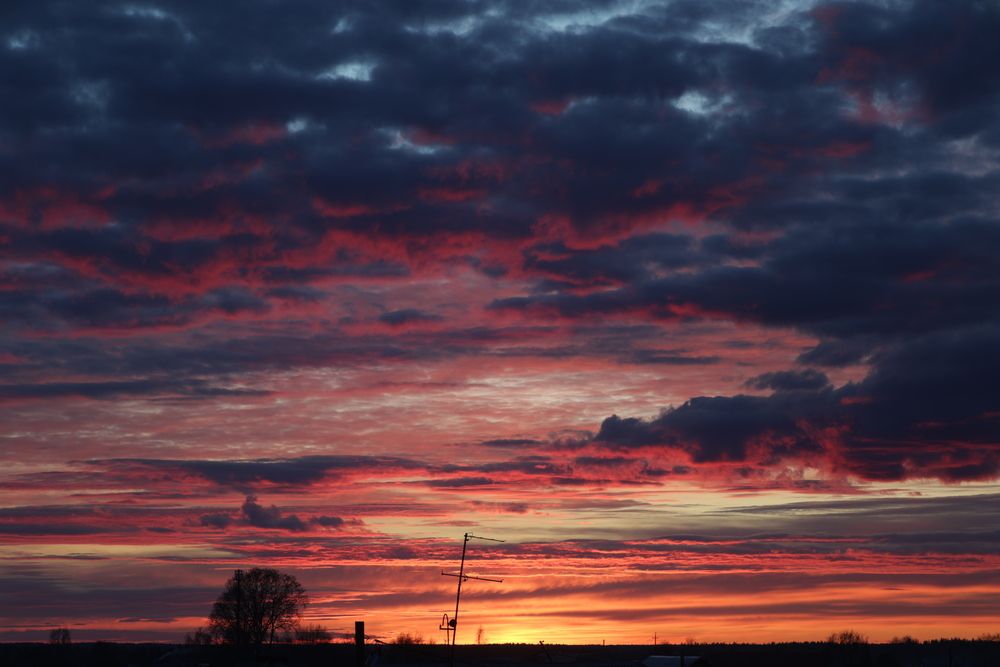 Photograph by Вальшина Алина