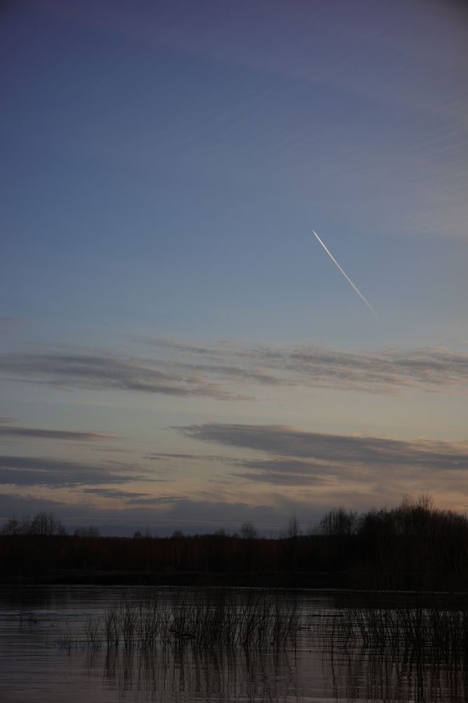 Photograph by Вальшина Алина