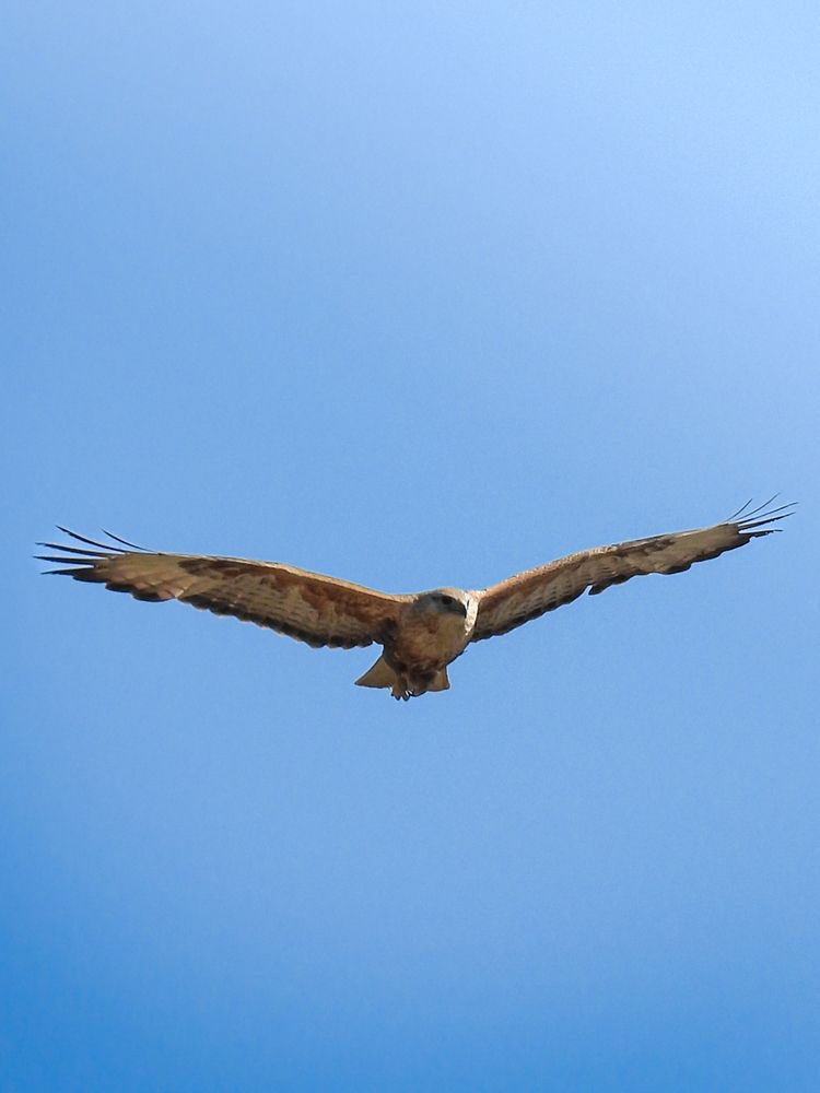 Photograph by Анна Курлова
