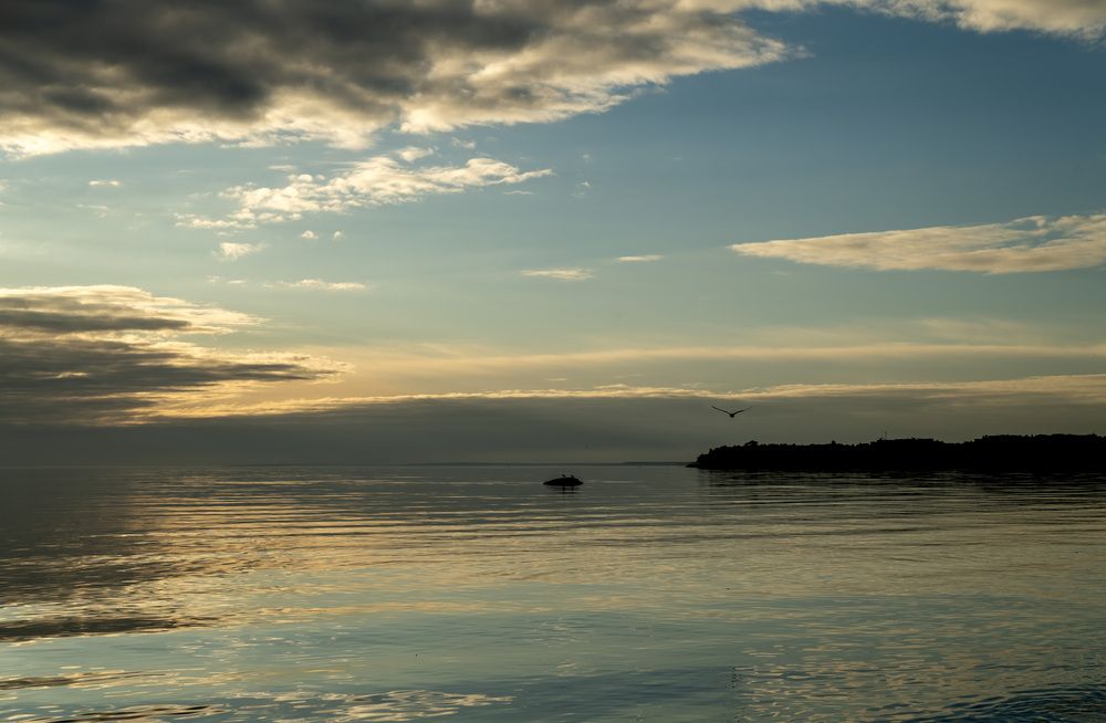 Photograph by Ольга Михайлова
