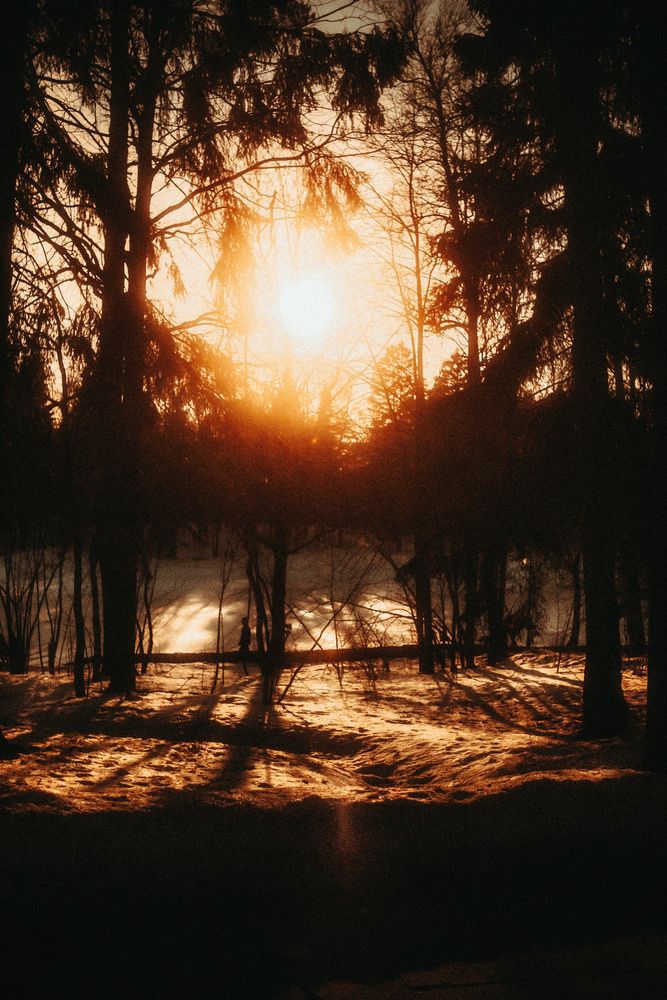 Photograph by Denis Naryshev