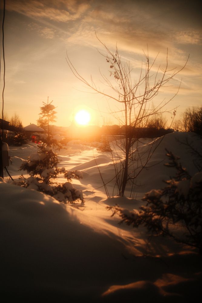 Photograph by Denis Naryshev