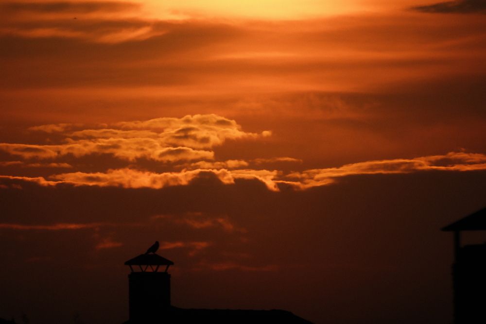 Photograph by Denis Naryshev