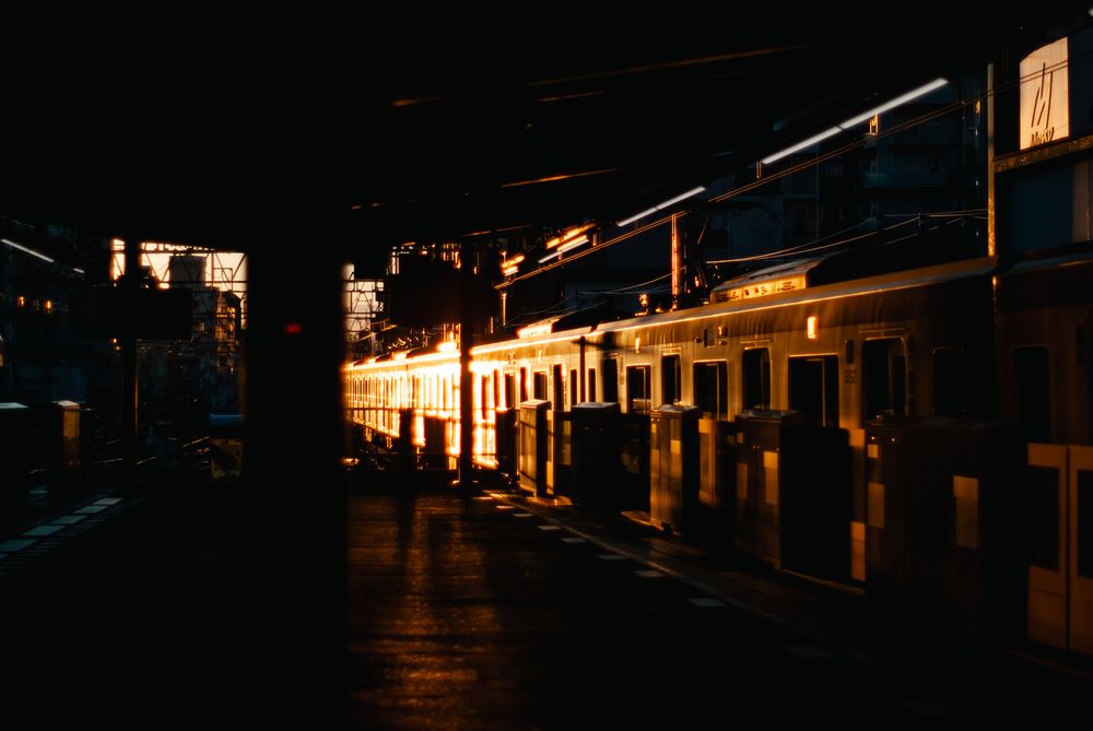 Фотография автора SHIN