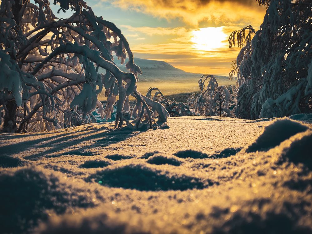 Photograph by Валерий Иванов