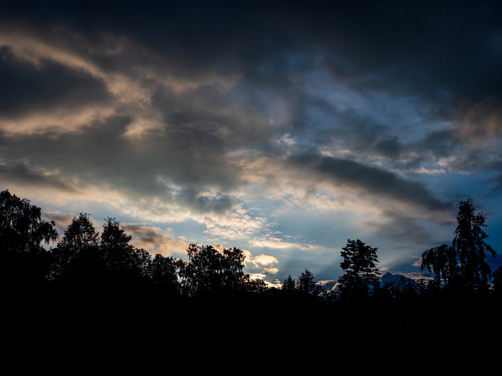 Photo #13493154