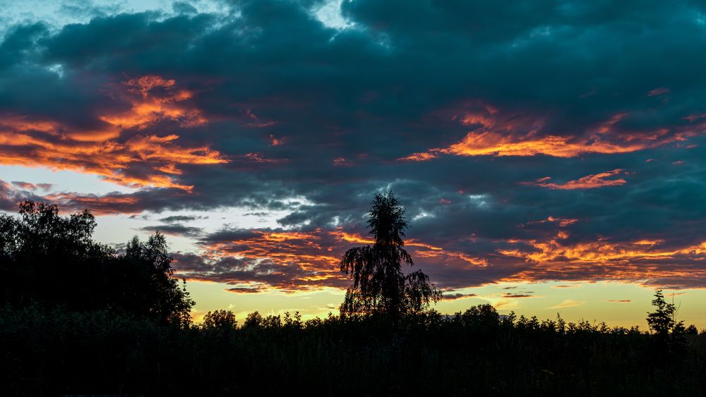 Photo #13493155
