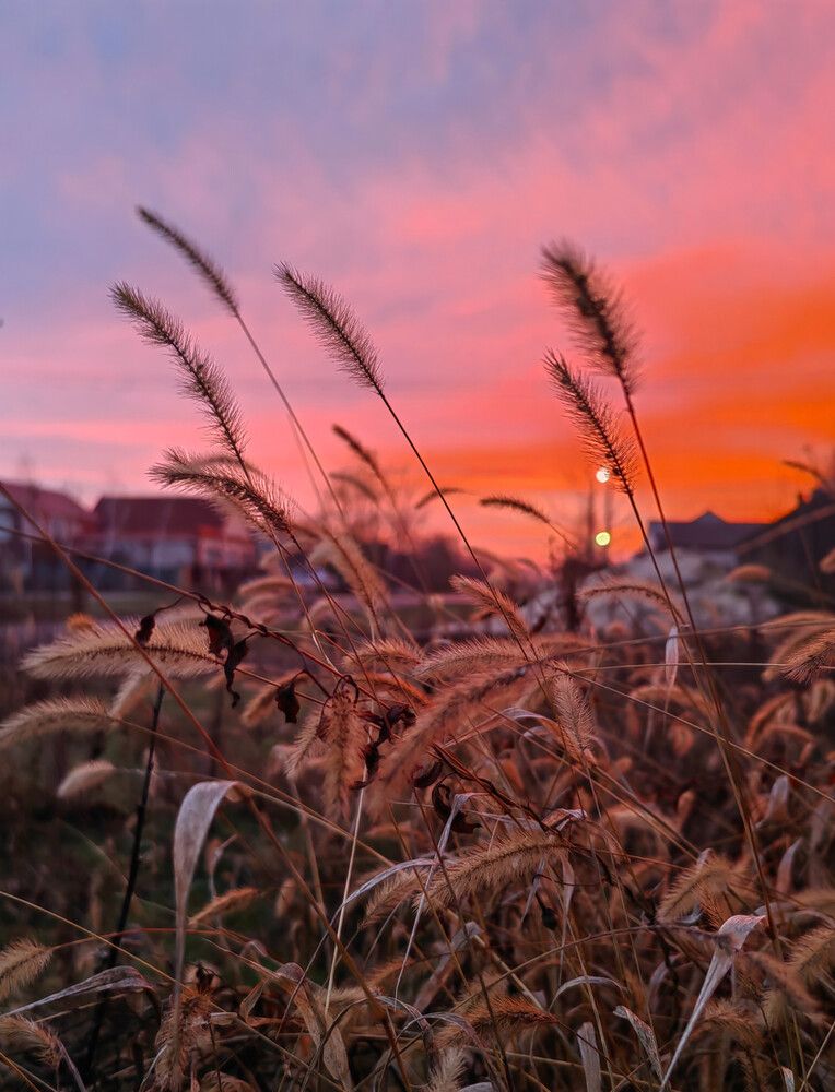 Photograph by Ульяна Кузьмина