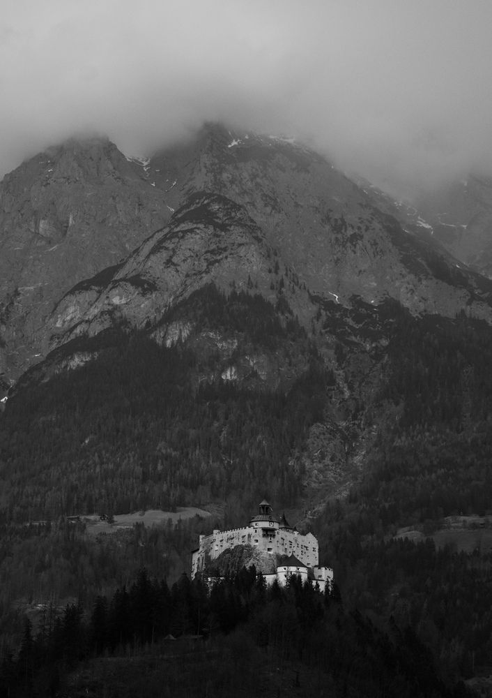 Photograph by Alena T