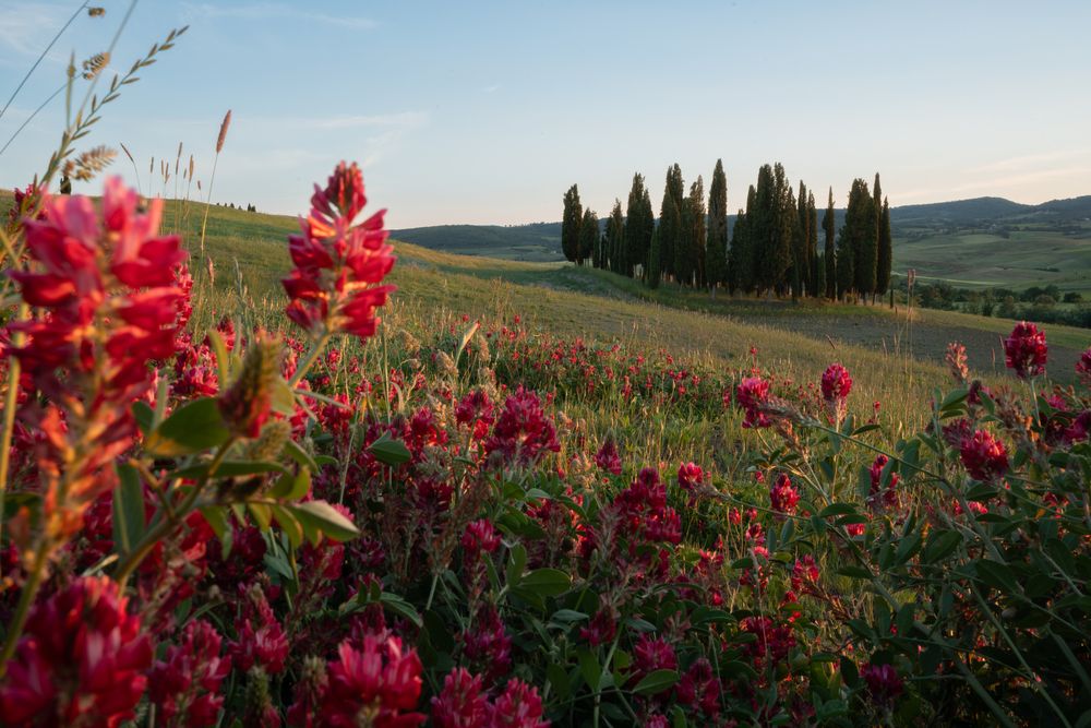 Photograph by Giorgio Castelli