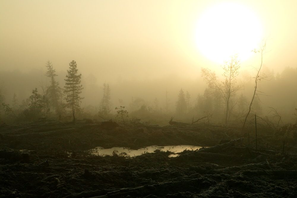 Photograph by Михаил Дронов