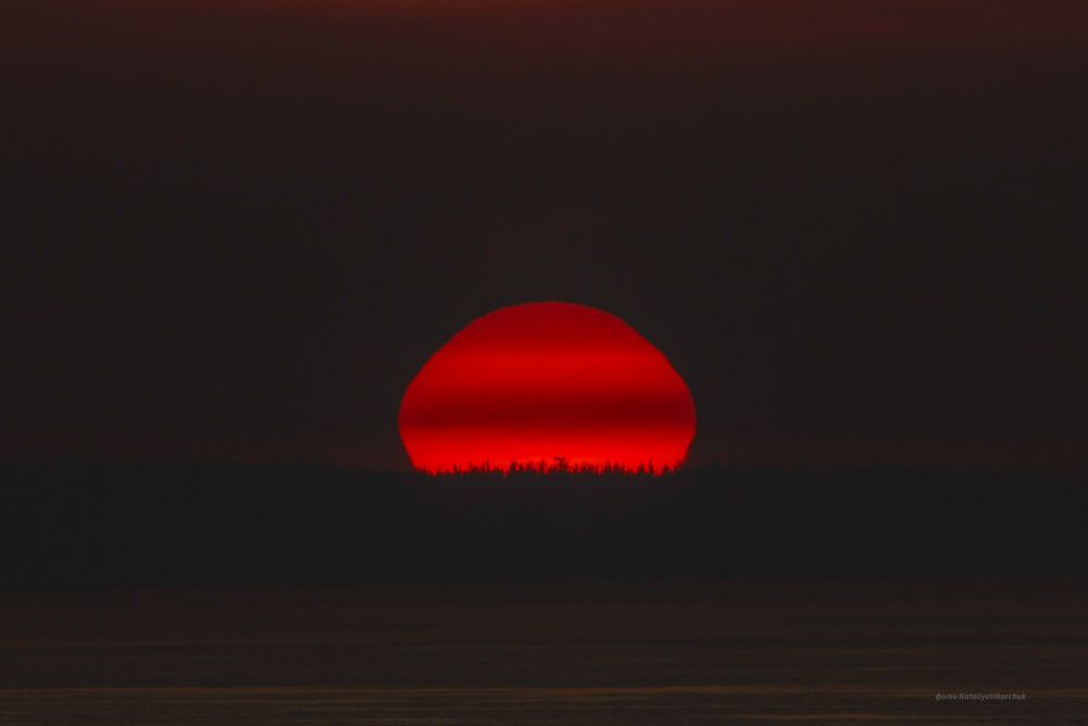 Photograph by Наталья Викарчук