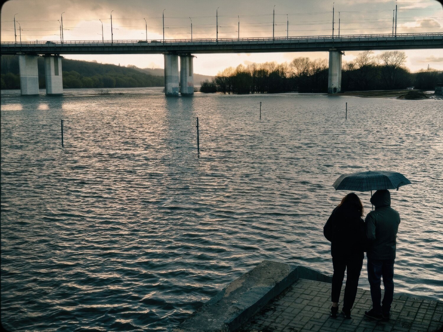 Photo #13493765