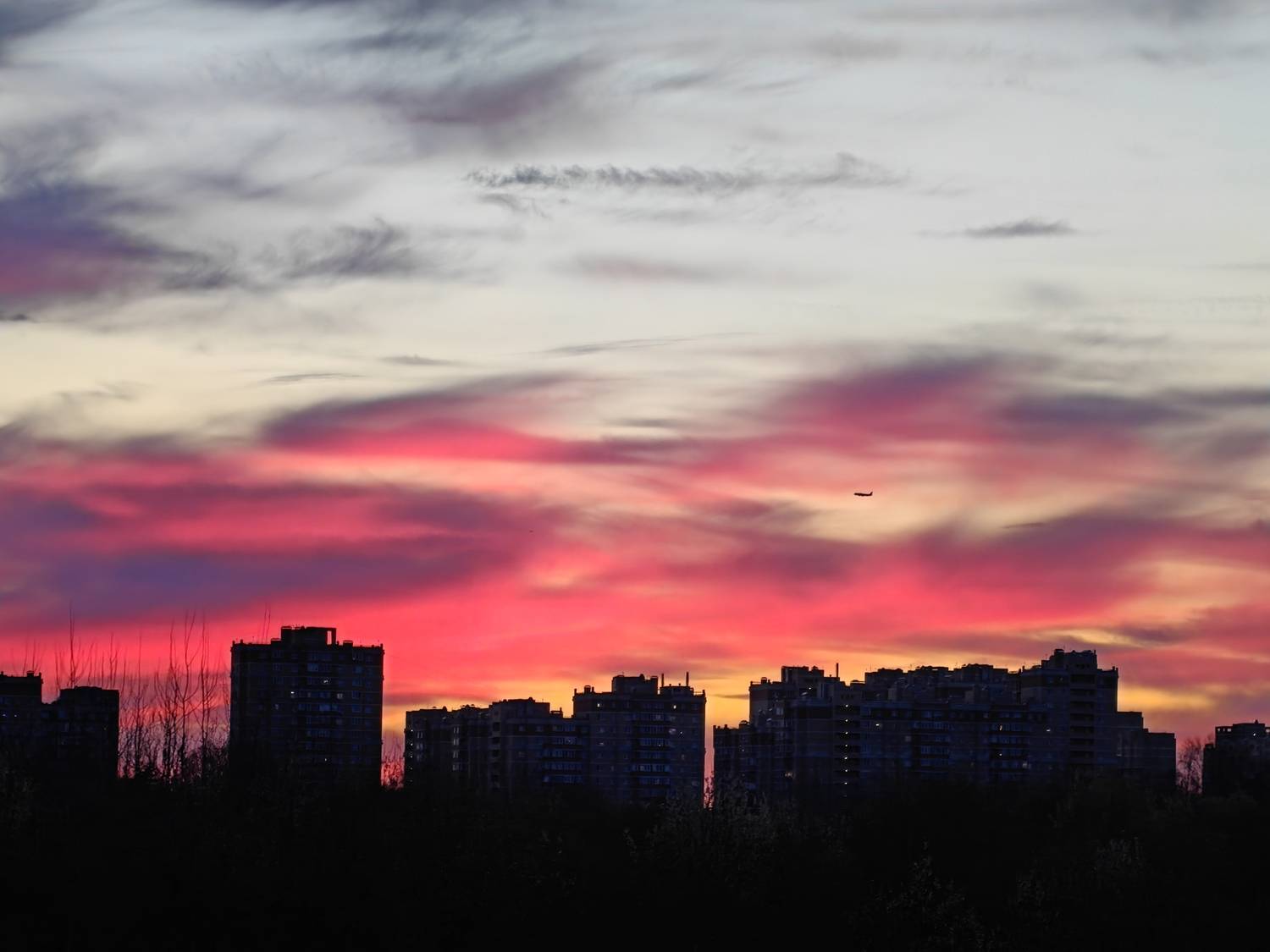 Photo #13494065