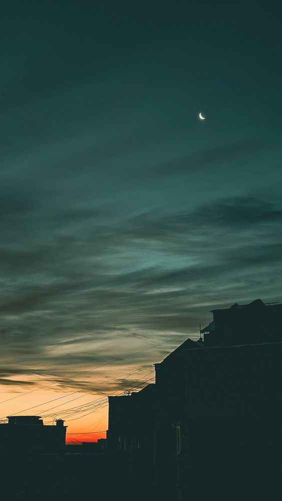 Photograph by Екатерина Николаева