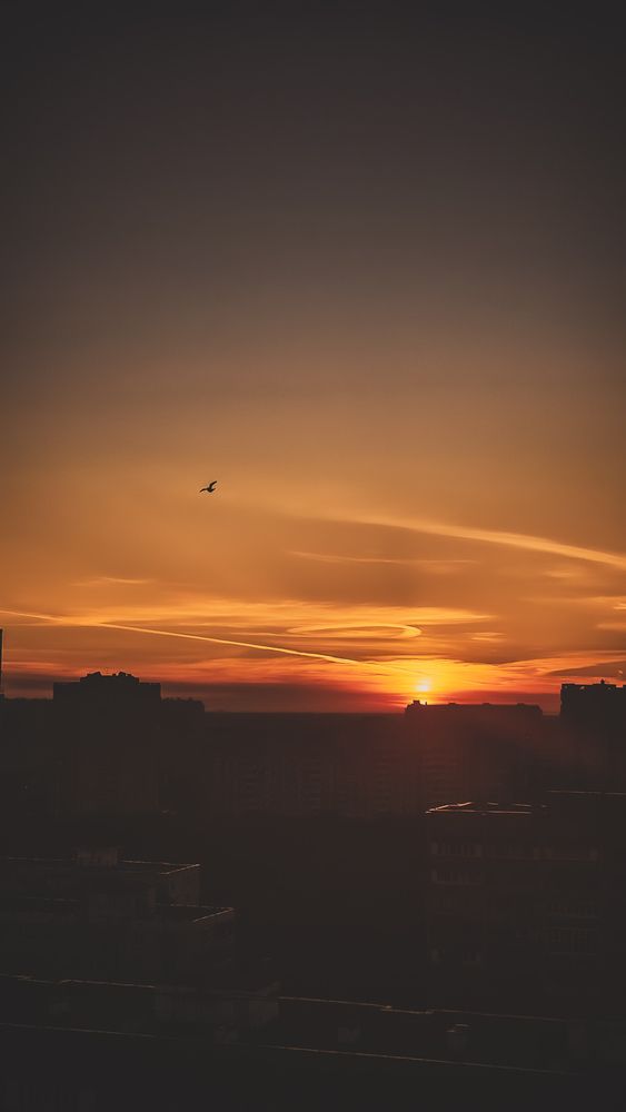 Photograph by Екатерина Николаева