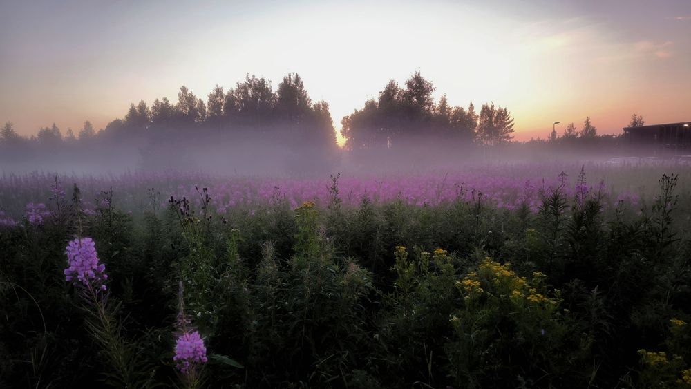 Photograph by Ольга Стоун