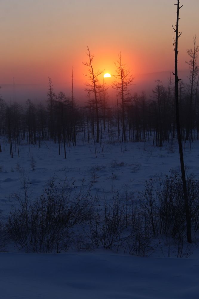 Photograph by Михаил Мархинин