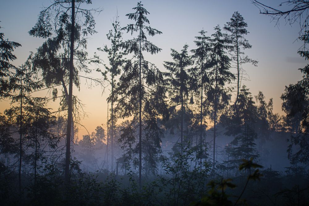 Photograph by Александра Плискова