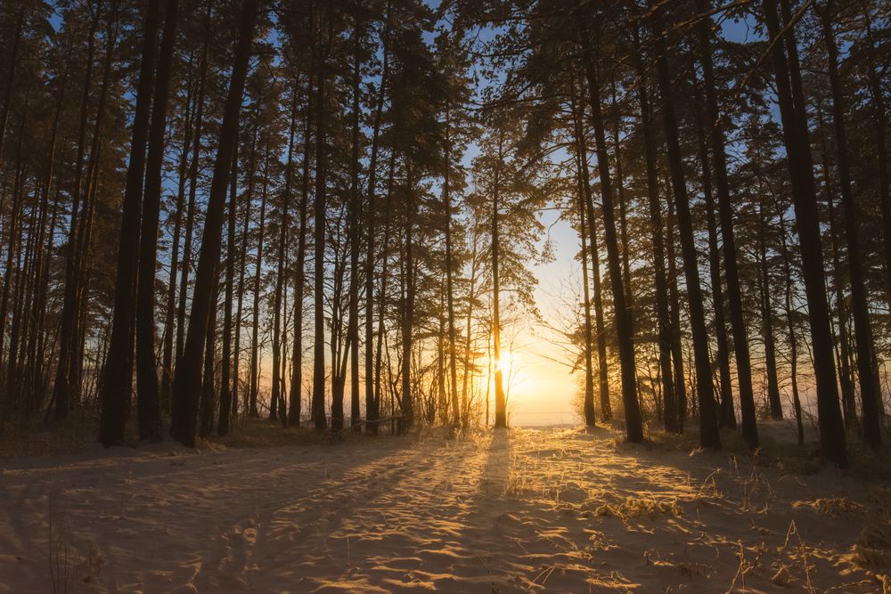 Photograph by Александра Плискова