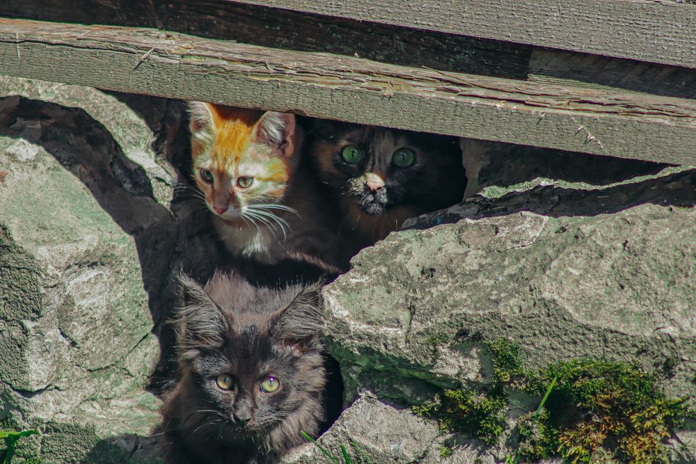 Photograph by Евгения Суслова