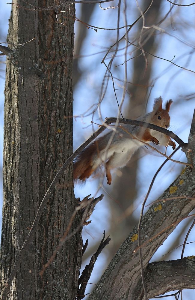 Photograph by Мария Толкачёва