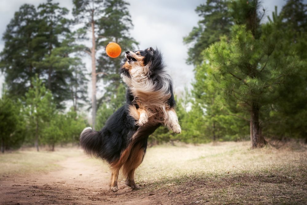 Photograph by Елена Соколова