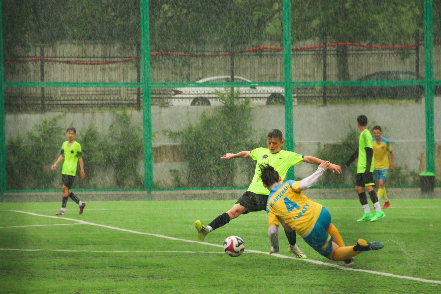 Photo #13494573