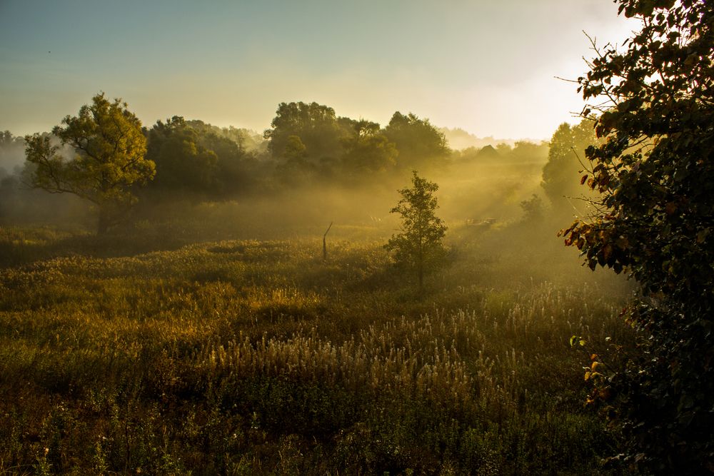 Photograph by Ольга Заповедная