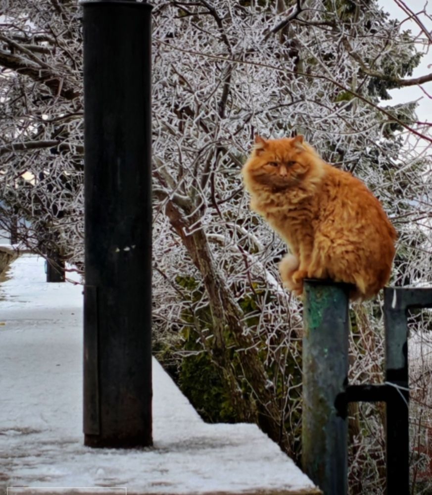 Photograph by Сергей Кошин