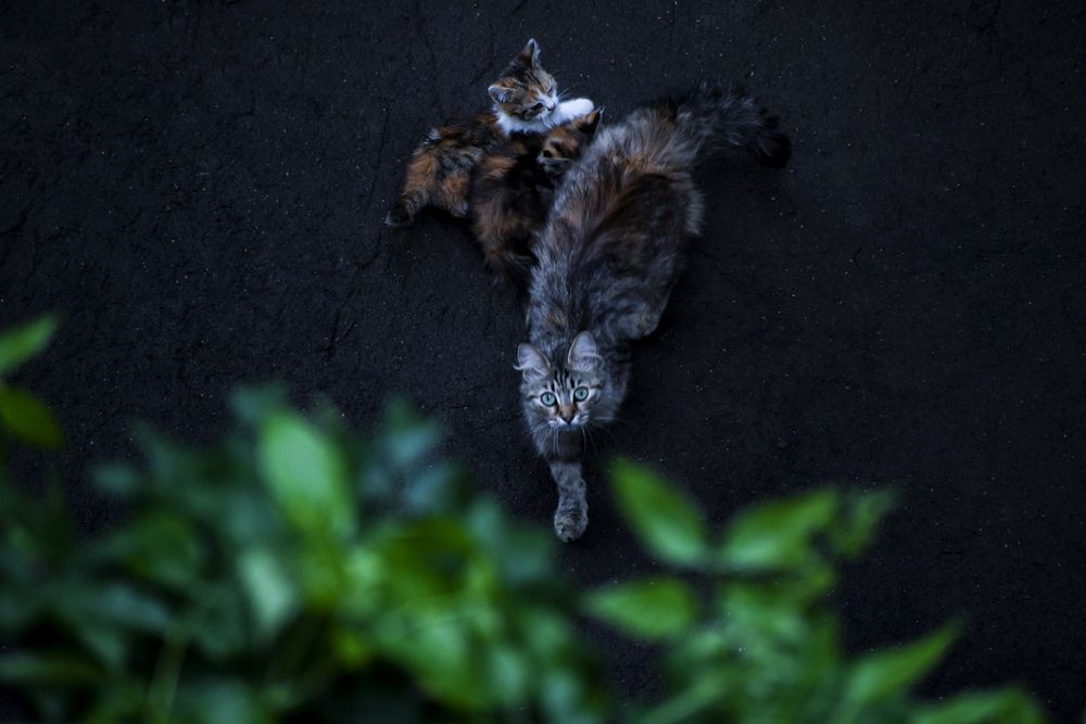 Photograph by Алексей Поляков