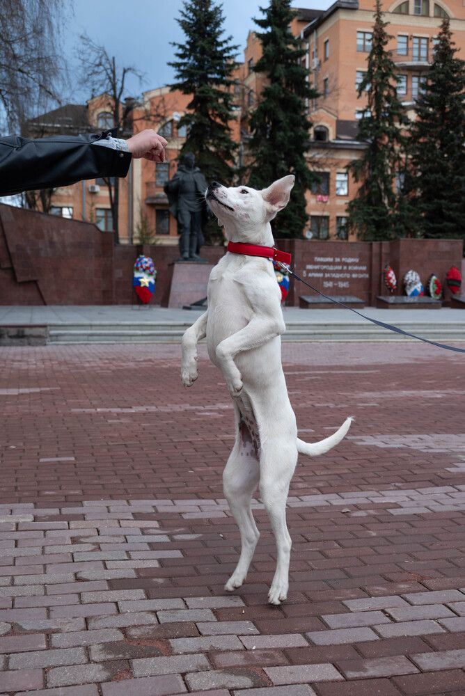Фотография автора Виталий Дузь