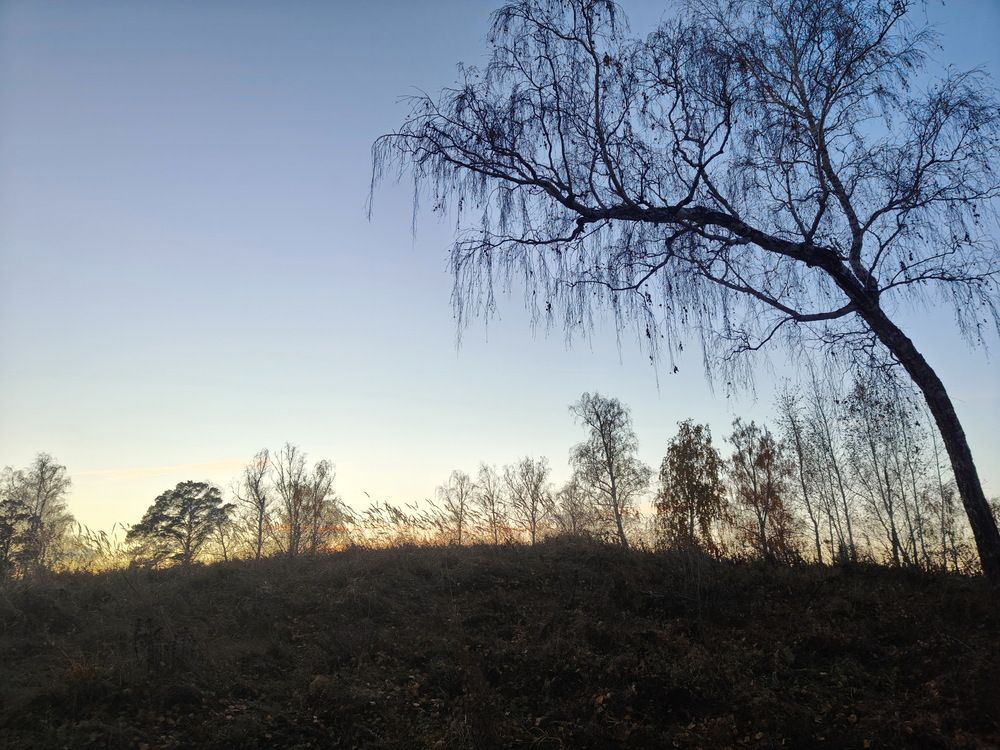 Photograph by Виталий Черепенькин