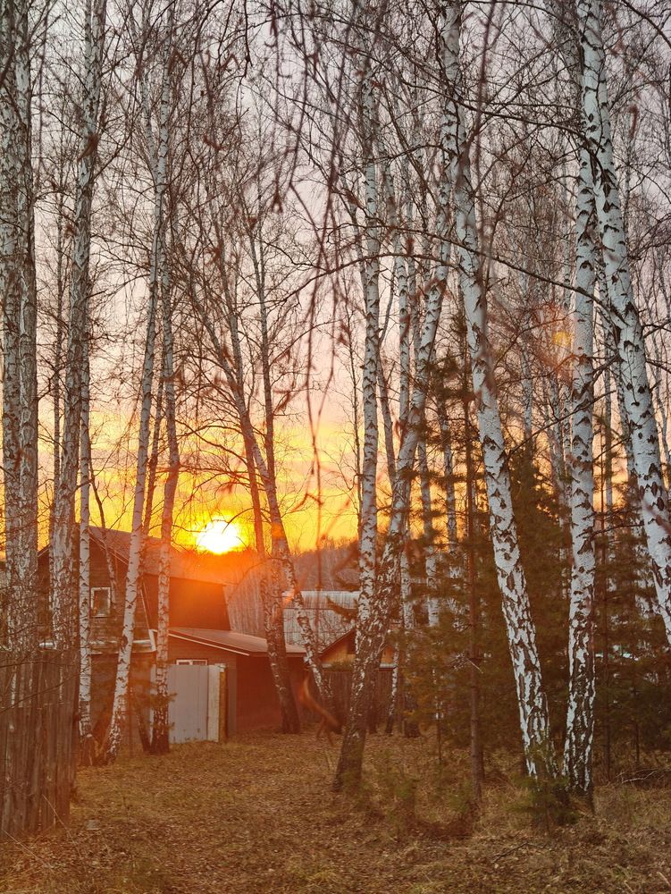 Photograph by Виталий Черепенькин