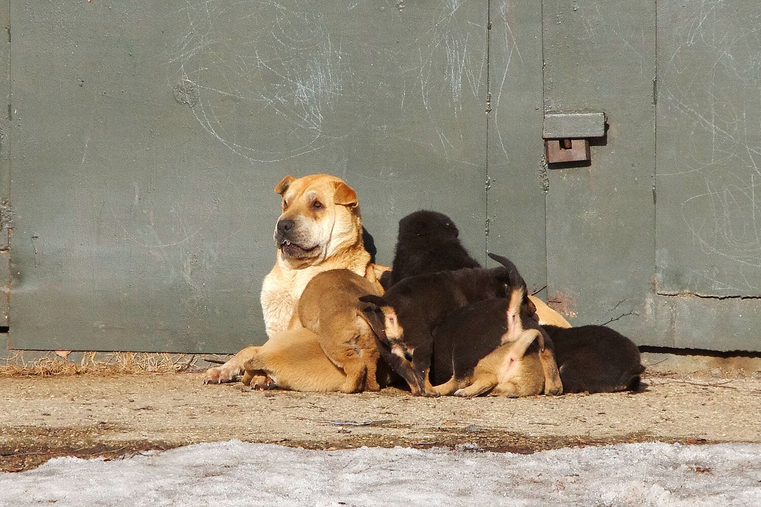Photo #13494852