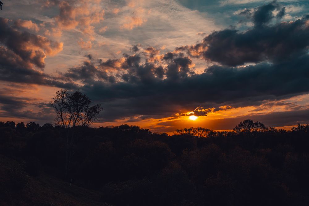 Photograph by Алексей