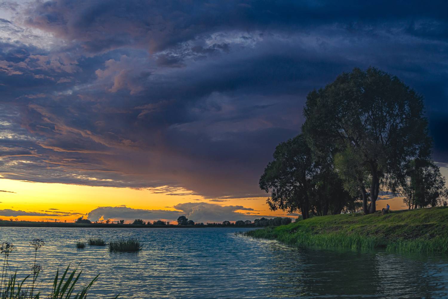Photo #13494889