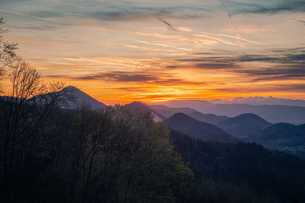 Photograph by Gregor Kobilica