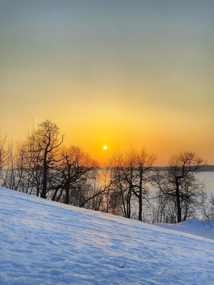 Photo #13494998