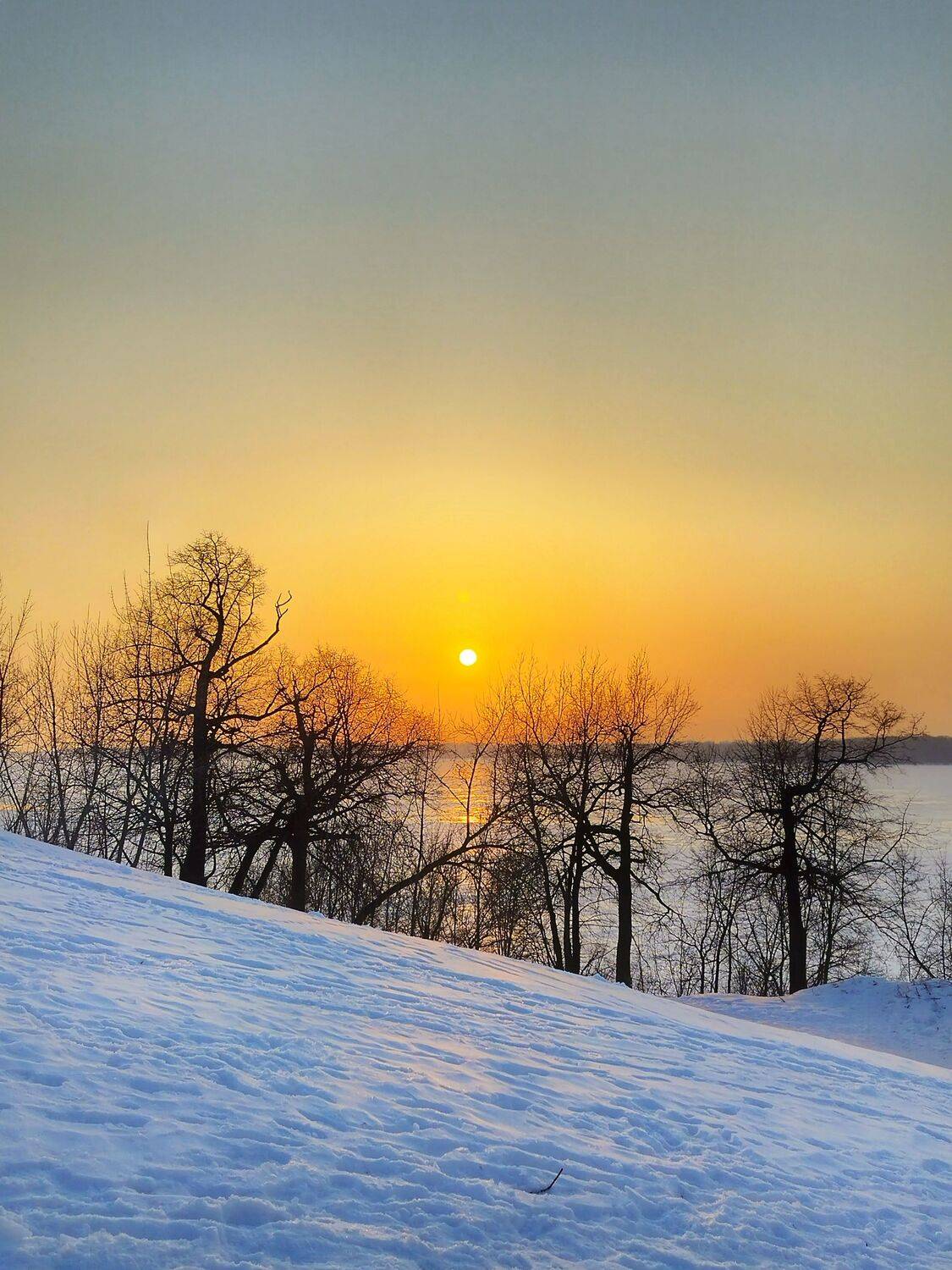 Photo #13494998