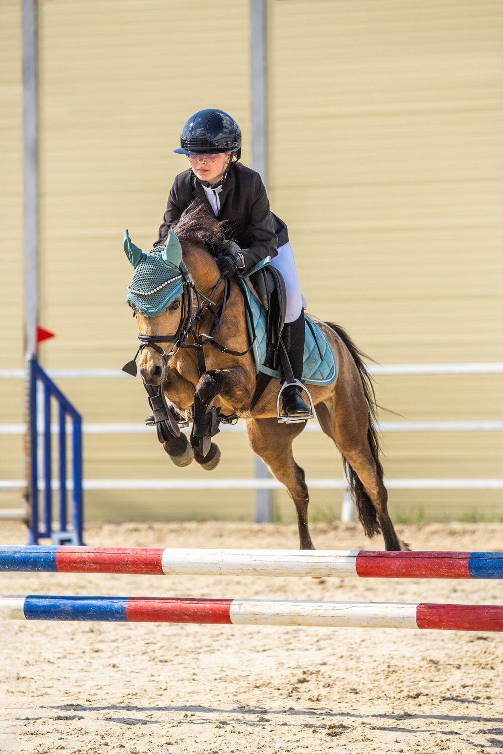 Photo #13495111