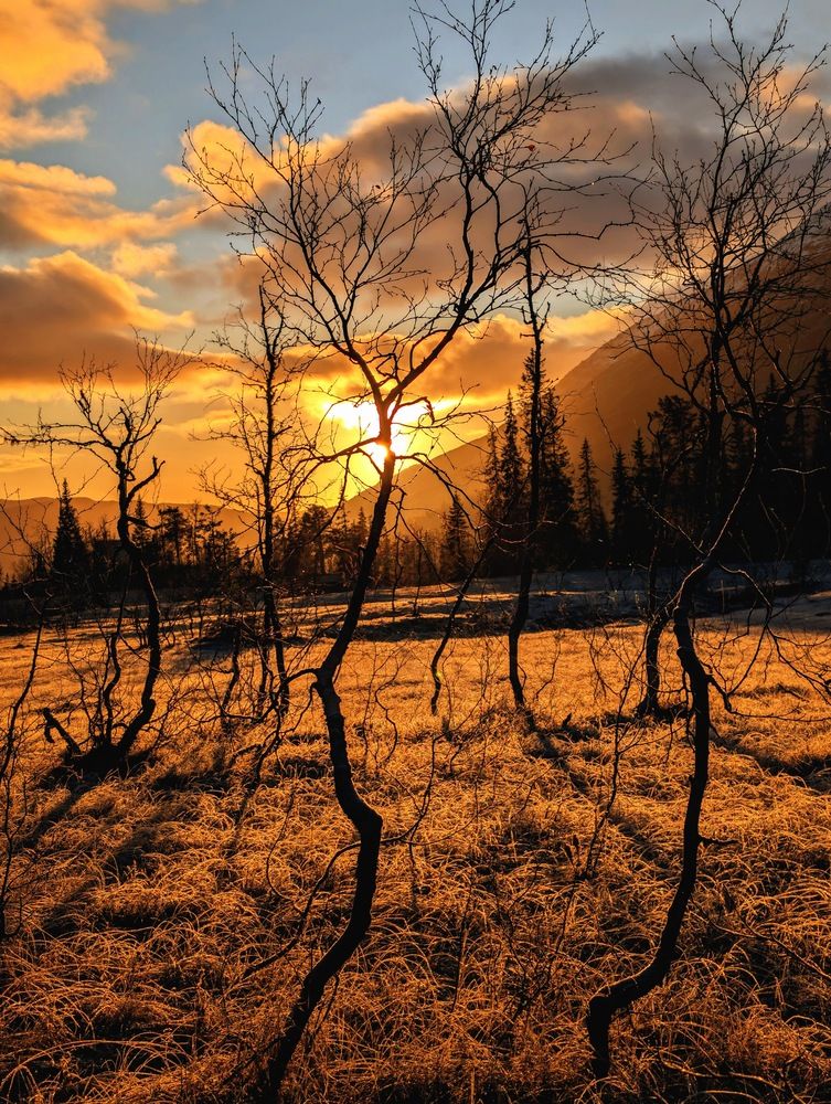 Photograph by Alexander Khmarau