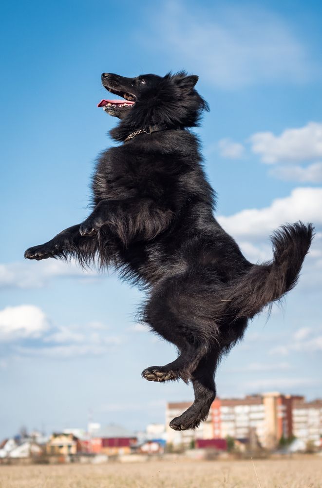 Photograph by Елена Соколова