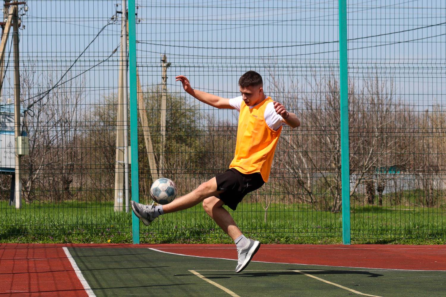 Photo #13495235